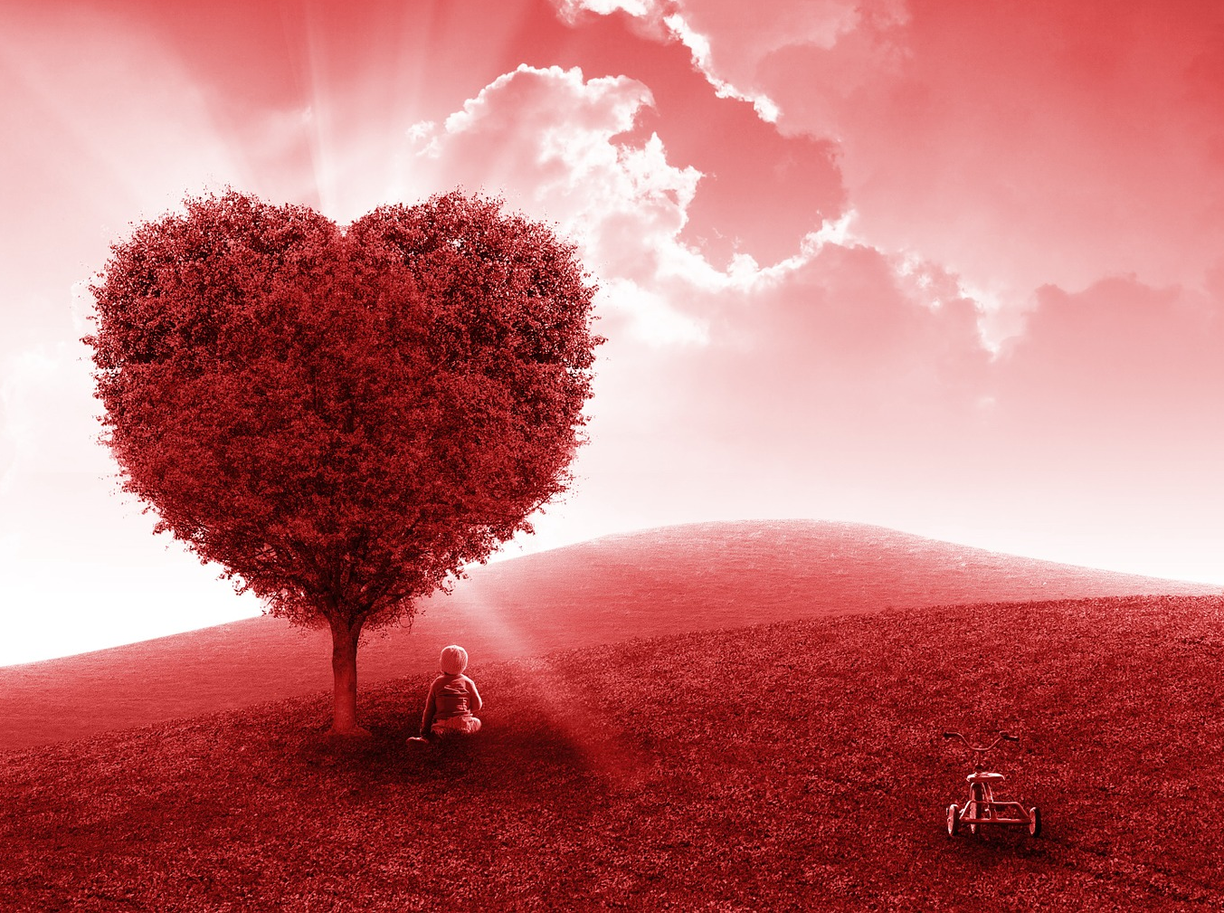 paesaggio-albero-cuore-bambino